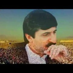 Shafi Essar - Shaheed Usman lala new Tarana - New Pashto Songs - Salam Milli shaheed - Rahim Mukhlis