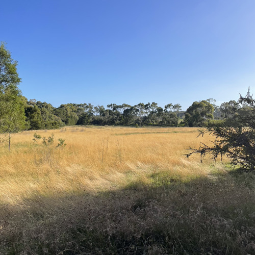 Motion Sickness Live