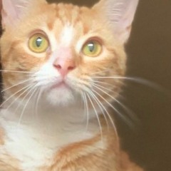 ABC ft.bootybread [Prod.DrvmmixK.O]