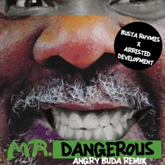 Busta Rhymes x Arrested Development - Mr Dangerous (Angry Buda Remix)