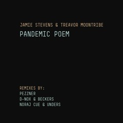 Jamie Stevens & Treavor Moontribe - Pandemic Poem (Noraj Cue & Unders Remix) - TEASER 2