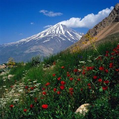 Gateway to the Ancestors 2