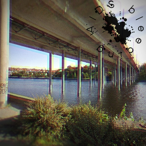 7.multitude of worms eat my brain when I look at the inside