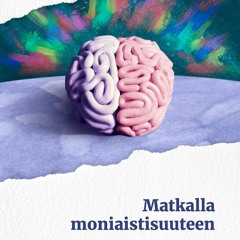 Maarit Hedman: Matkalla moniaistisuuteen