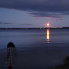 House of Cards (feat. DiMaggio)