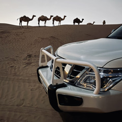 اشـعـار 🤍🌷