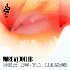 Ware w/ Joel FB - Aaja Channel 2 - 09 12 23