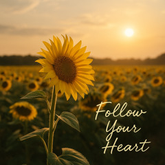Follow Your Heart