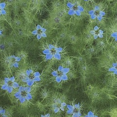 st4rg4zing (with Jill)