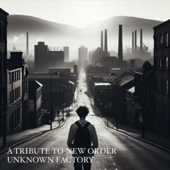 A tribute to New Order 2024 by Unknown Factory
