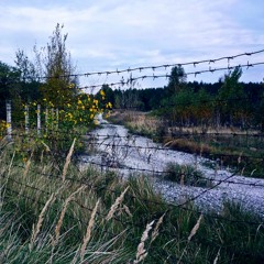 Chernobyl / Чернобыль