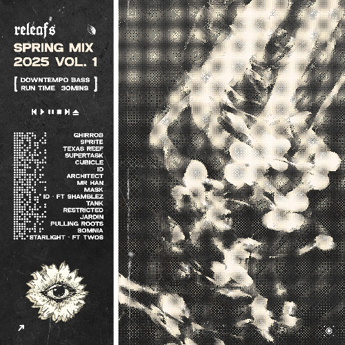 SPRING MIX 2025 VOL. 1