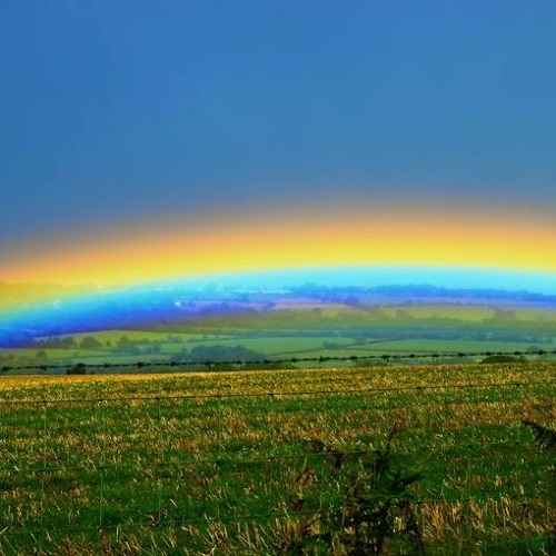 Don Danser - State of Mind