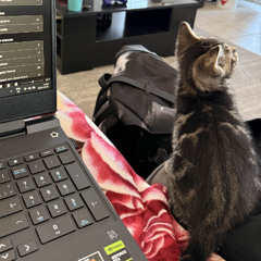 yo hoe ( prod. sawyer eloi )