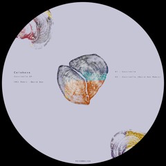 PREMIERE: Calabasa - Coccinelle (David San)