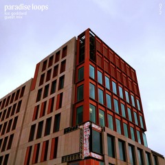 Paradise Loops 072 w/ Loz Goddard