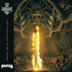 Revolution Is My Name ( Pantera Tribute) Feat. Eric Tulio