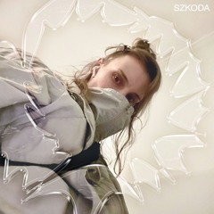 DEKONSTRUKT pres. szkoda