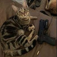 Cat with a gun lol (free beat)(short)