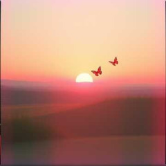 Dj.DamianR - I Can Walk Beside You Every Day (Poems by Roma Lemańska)