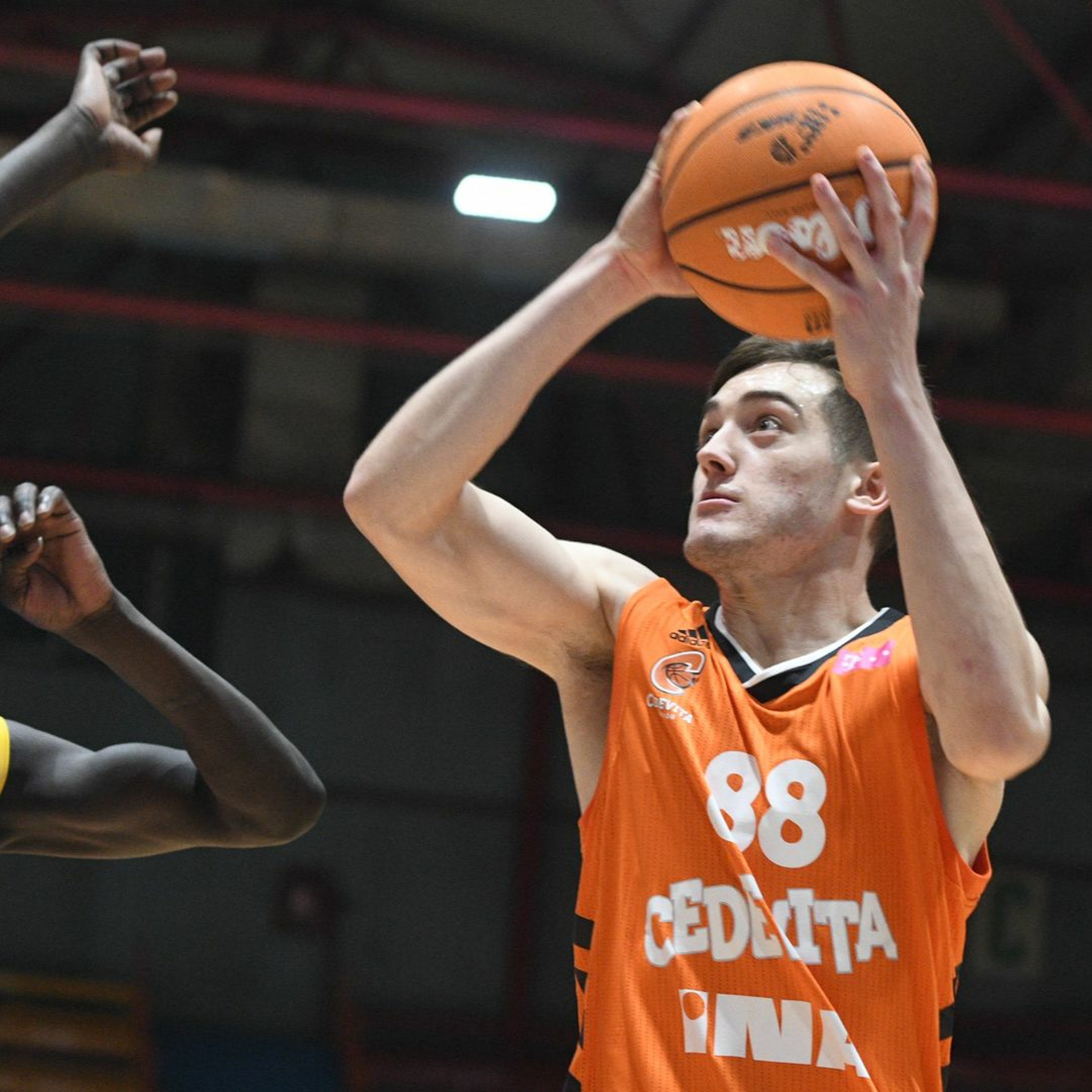 kkcedevita