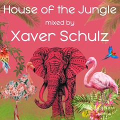 House of the Jungle | Tech House Mix | Xaver Schulz
