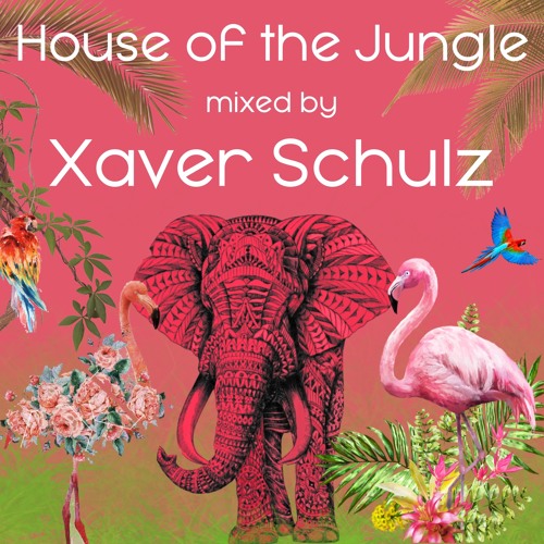 House of the Jungle | Afro House Mix | Xaver Schulz