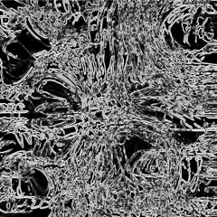 Slum Jargon