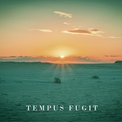 Tempus Fugit (Original Mix)