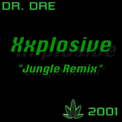 DR DRE - Xxplosive (Jungle Remix)