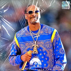 Music tracks, songs, playlists tagged snoop dogg instrumental on SoundCloud