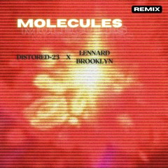 Distorted-23 - Molecules (Lennard Brooklyn Remix)