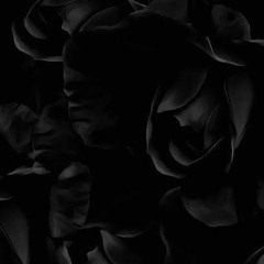 wont land ft. thr0waway