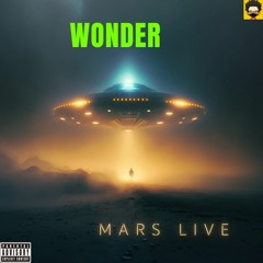 wonder