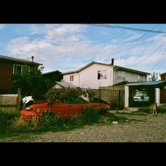 Our Wild Place