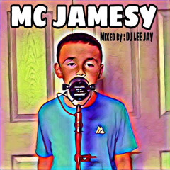 DJ LEE JAY, MC JAMESY 10 YEAR OLD 1ST STUDIO SET