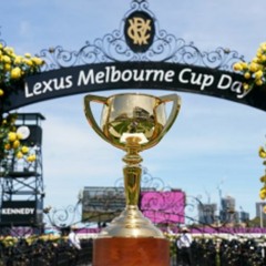 Melbourne Cup Runner By Runner Punting Preview