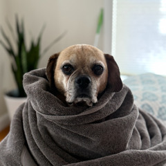 MC MN + LUANA VEM BOTAR NA MINHA XCHECA