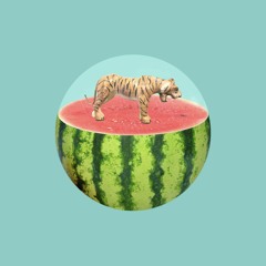 Tigermelon