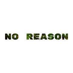 NO REASON