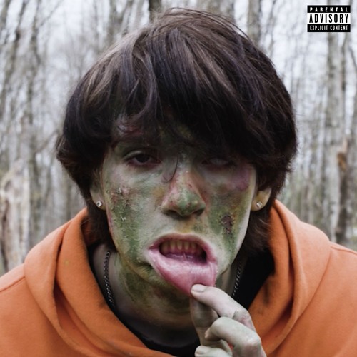 Rotting Flesh