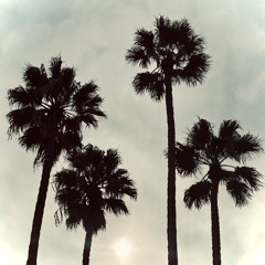 Purple Haze (Can't Feel My Face)