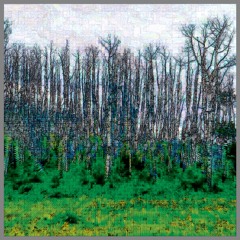 Aristotle and Medusa under the beset trees