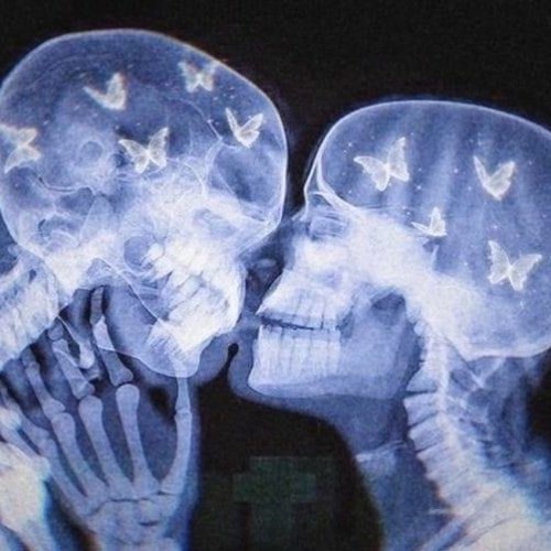 designer love (rough)