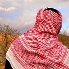 حل القضيه؟ | ابو مطلق