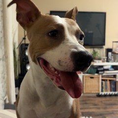 Sem zkusila neuro pohulte mi