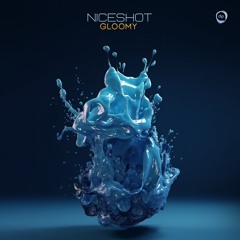 Niceshot - Gloomy (Original Mix) - AsymmetricDip