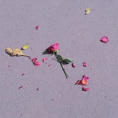 I.D.W.L(prod.joeldemora)