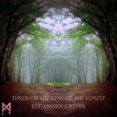 Mfinity - Through the Lens of the Forest (Equanimous Remix)