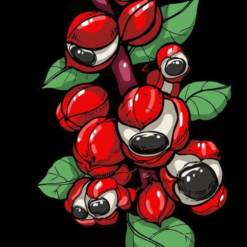 ''GUARANÁ'' GRIMME TYPE BEAT MASTER